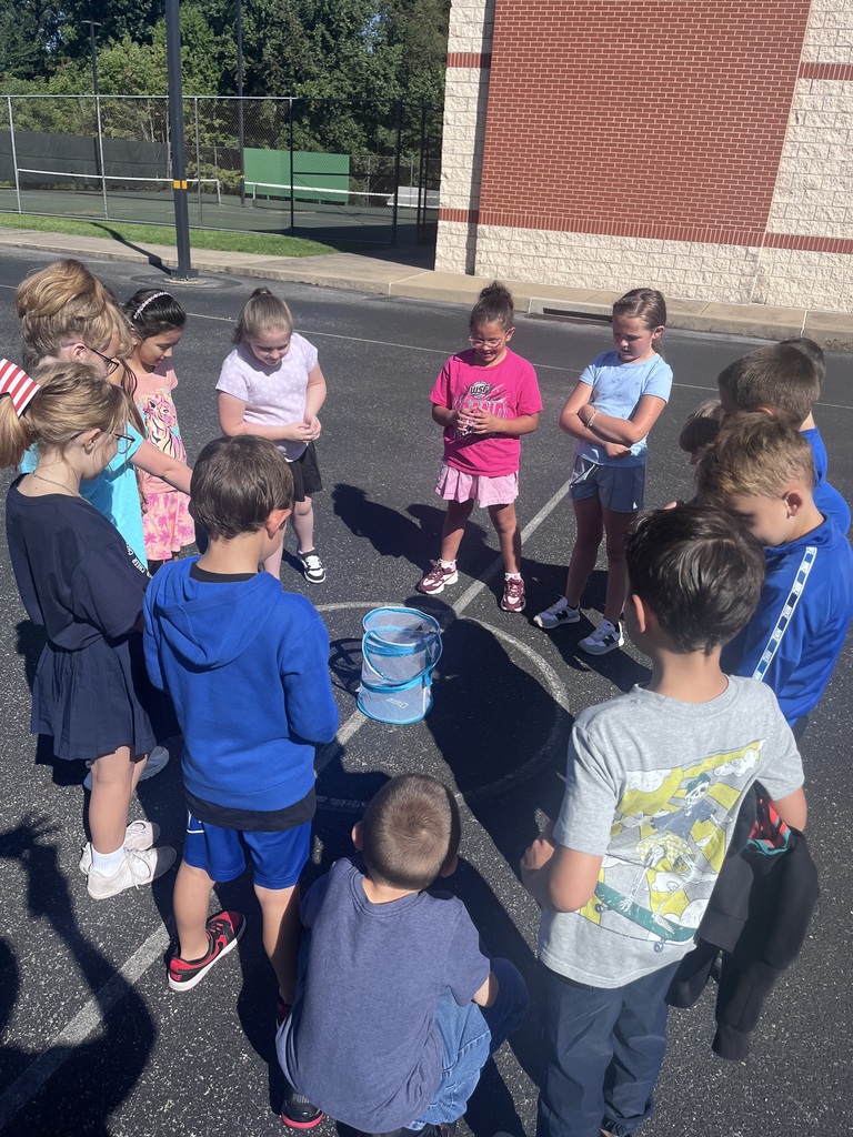 3rd Grade Butterflies