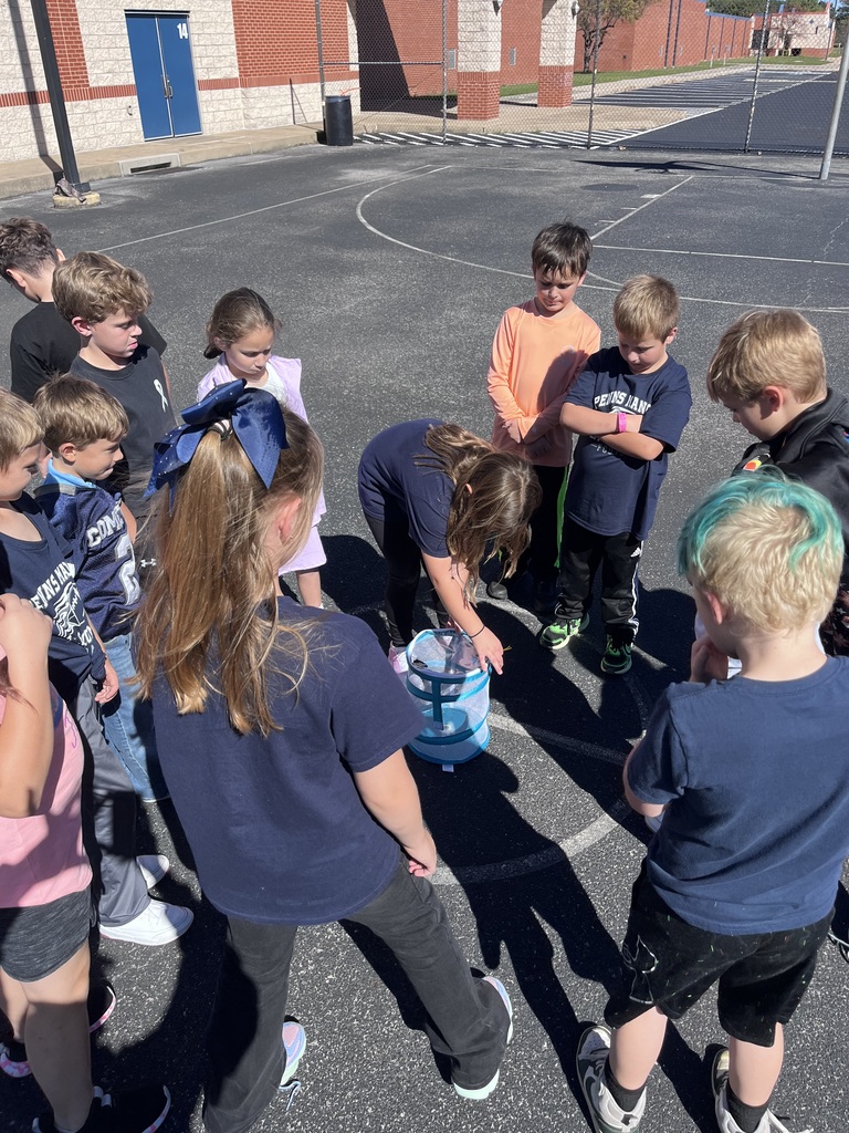 3rd Grade Butterflies