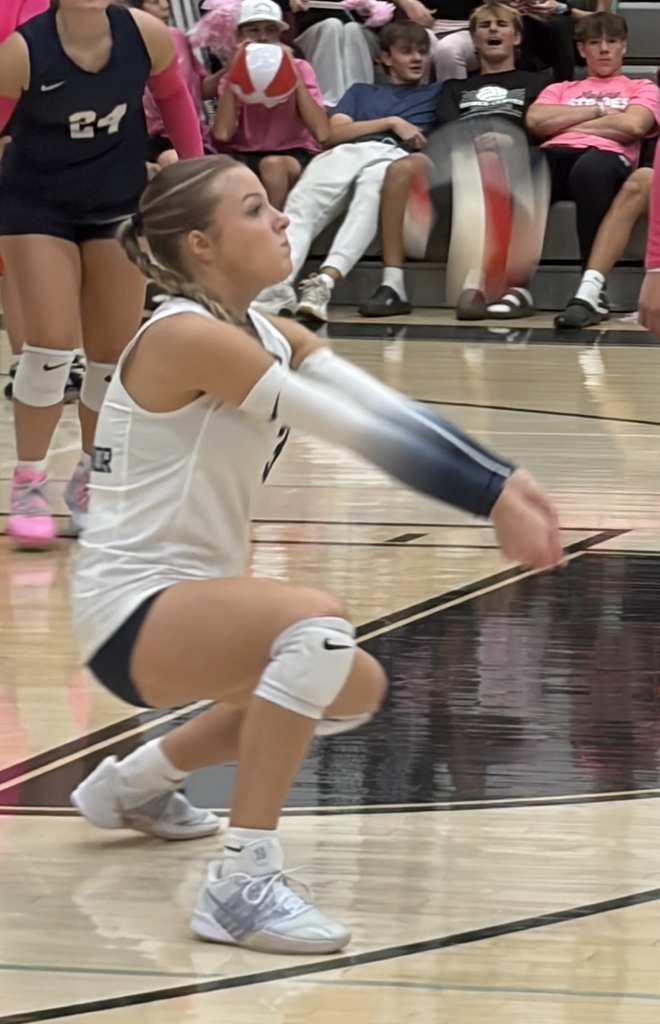 Volleyball Match