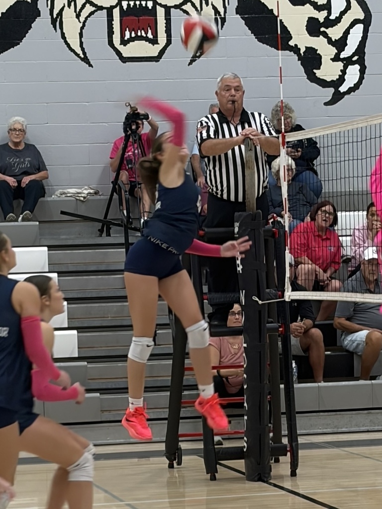 Volleyball Match