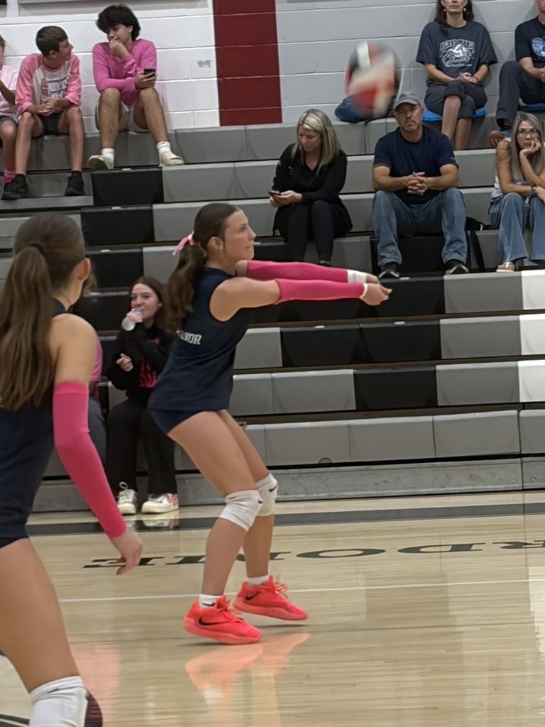 Volleyball Match