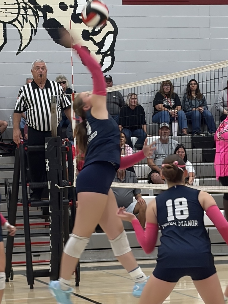 Volleyball Match
