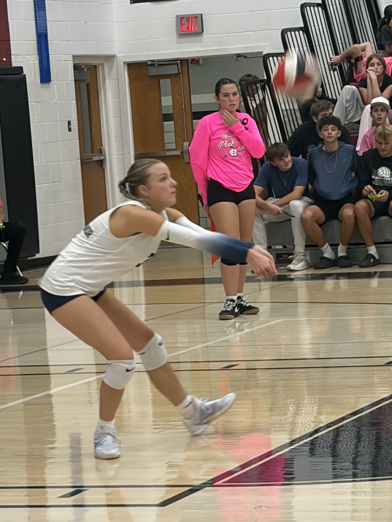 Volleyball Match
