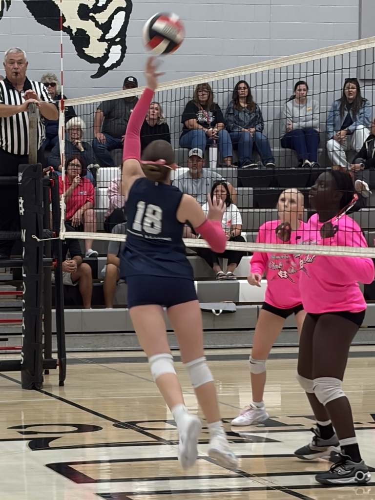 Volleyball Match