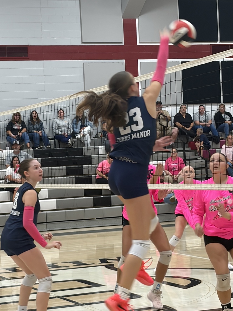 Volleyball Match