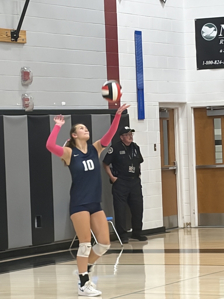 Volleyball Match