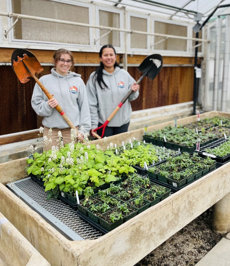 Members with plantings