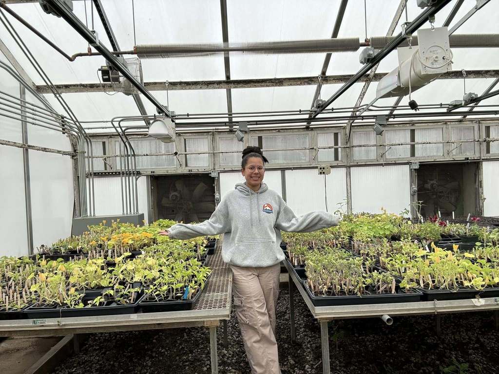 Member in Greenhouse
