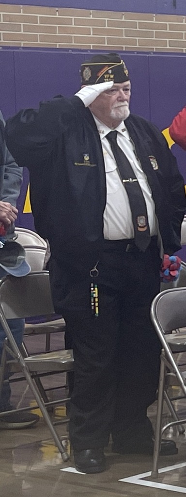 Veteran saluting in Veteran's Day