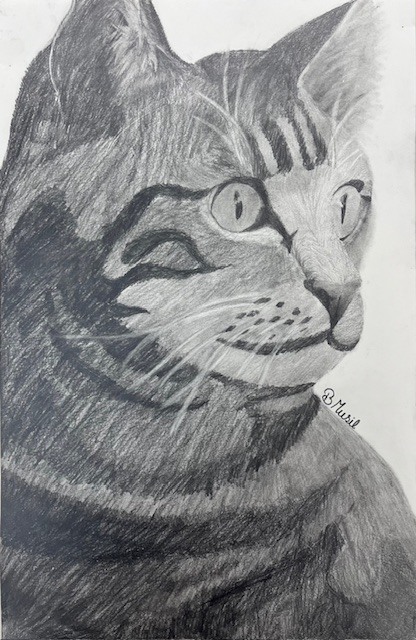 Briann's Cat Drawing.