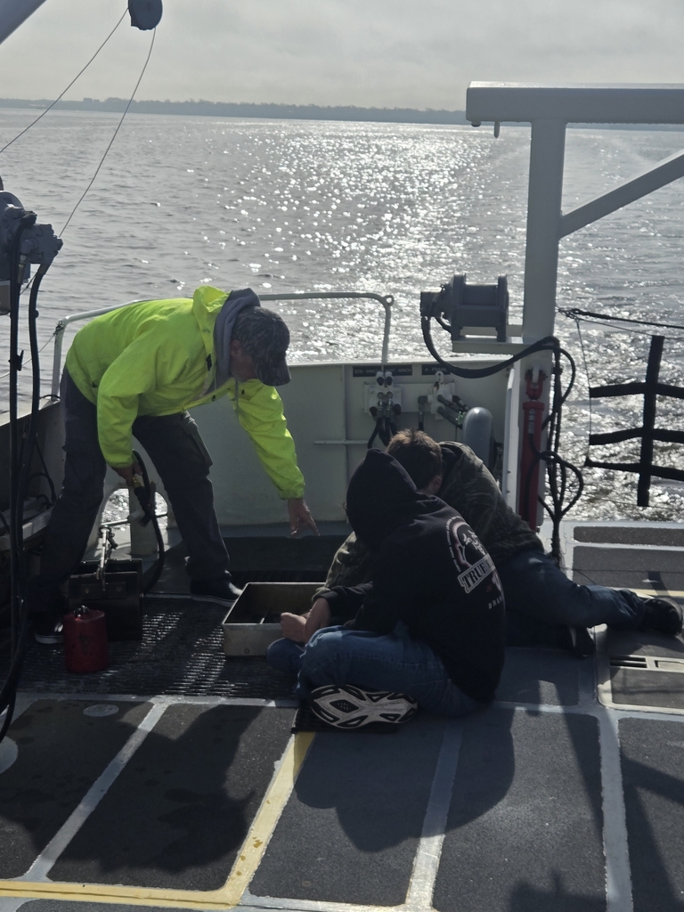students examining sample