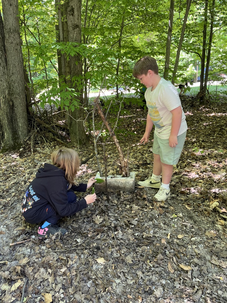Two boys are making art with sticks at MI Legacy Art Park