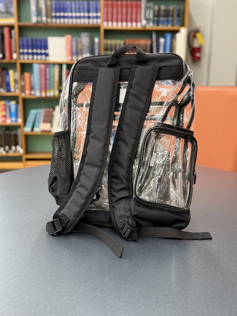 Clear Backpack