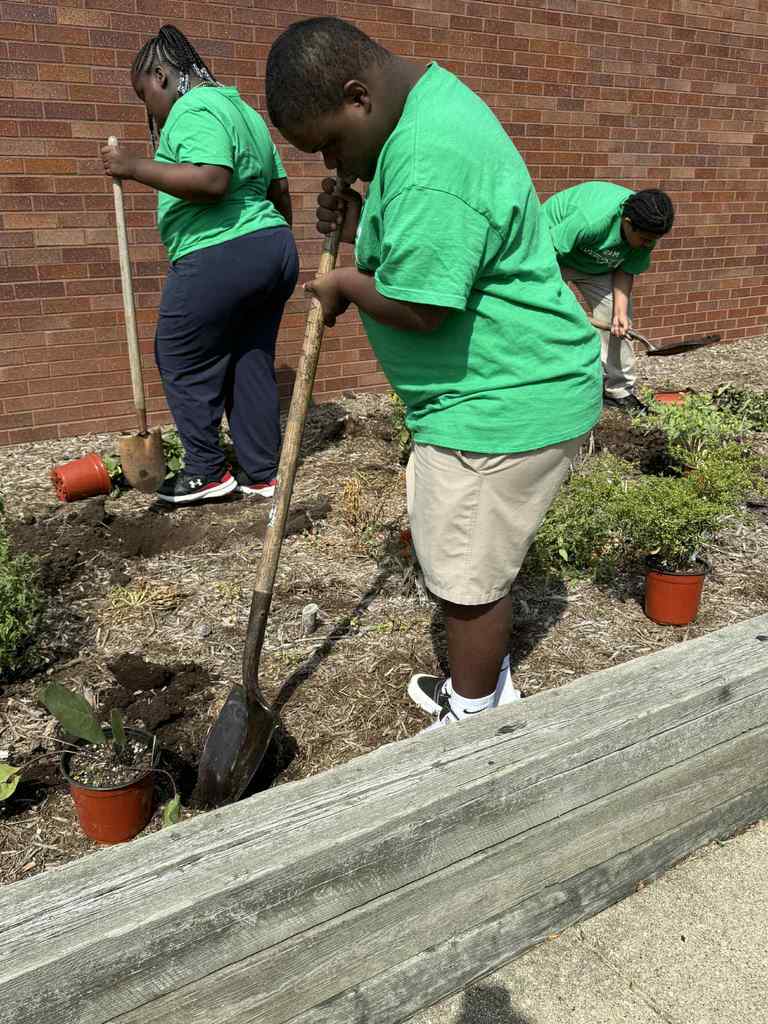 Learning how to use a shovel