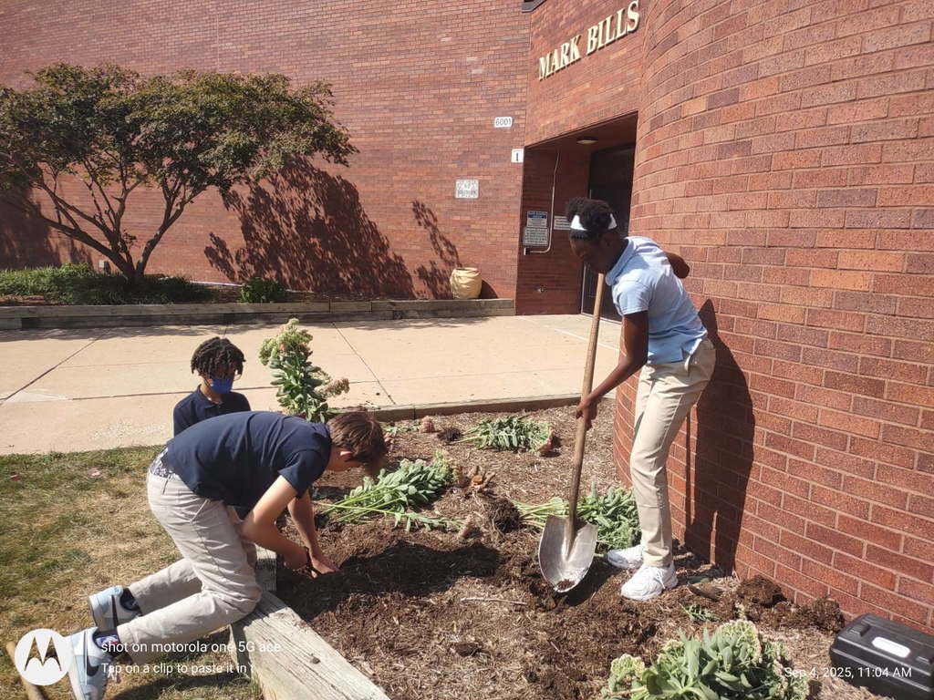 Rounding the corner on the final group of plants