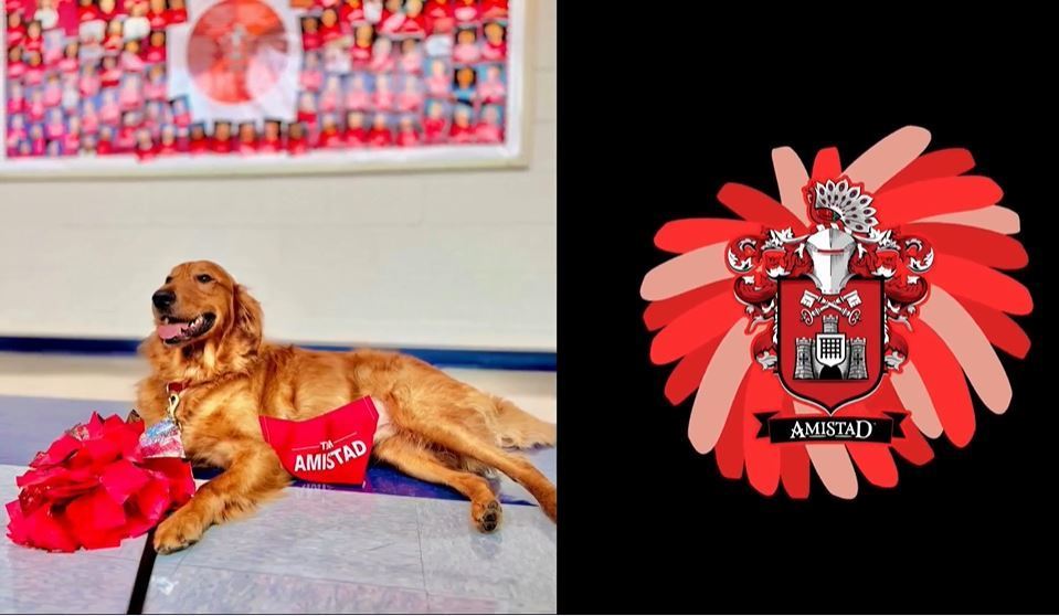 Solo our therapy dog is in the House of Amistad!