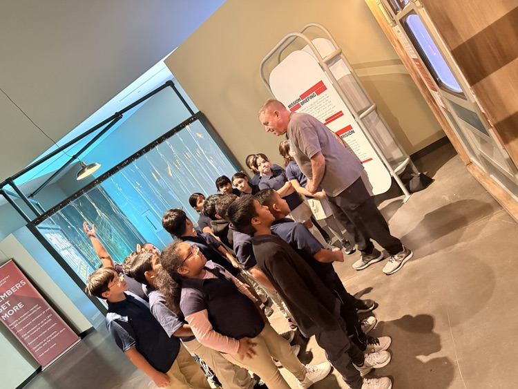 Amazing Titanic collection 