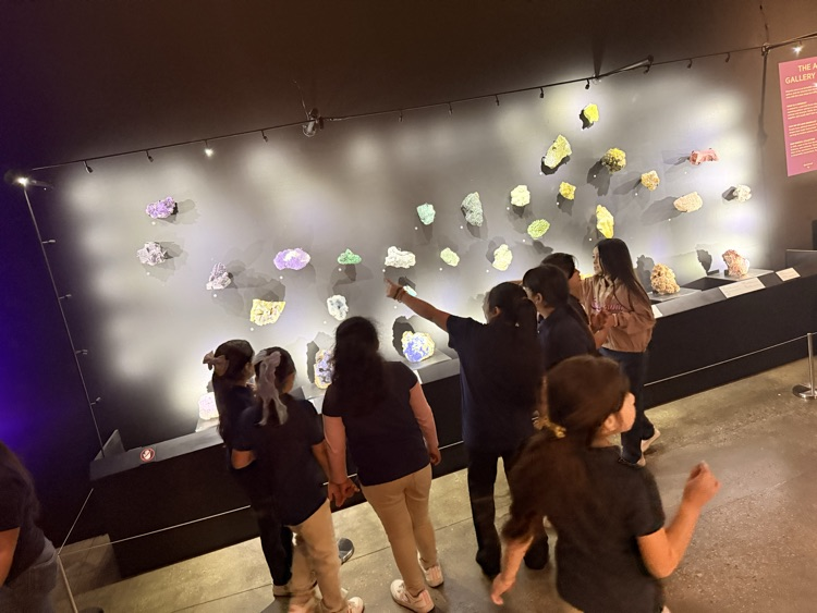 Beautiful Rocks and Minerals