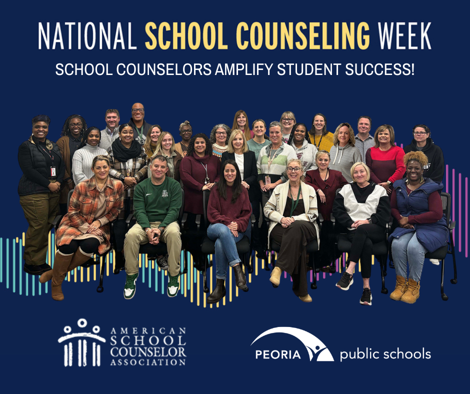 school counselors