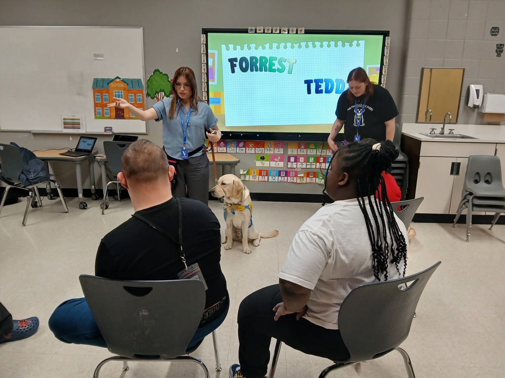 students learning