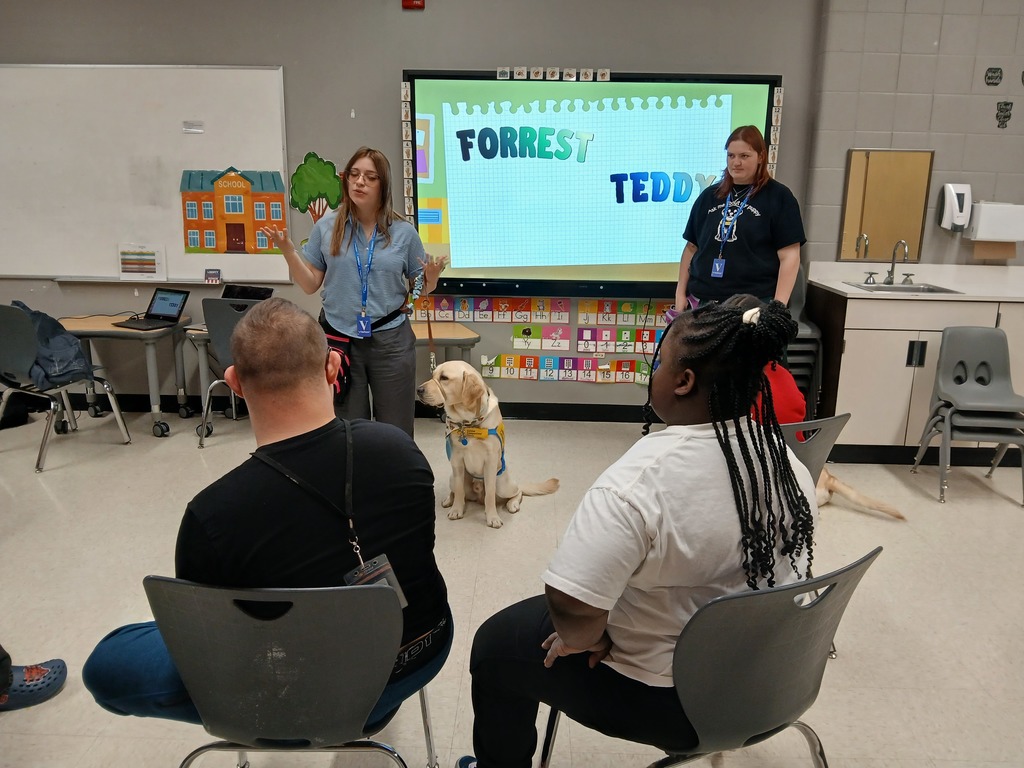 students learning