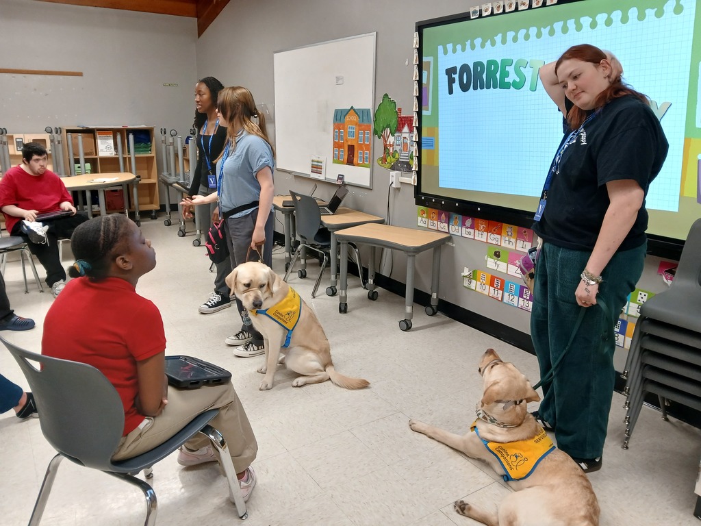 learning about service animals