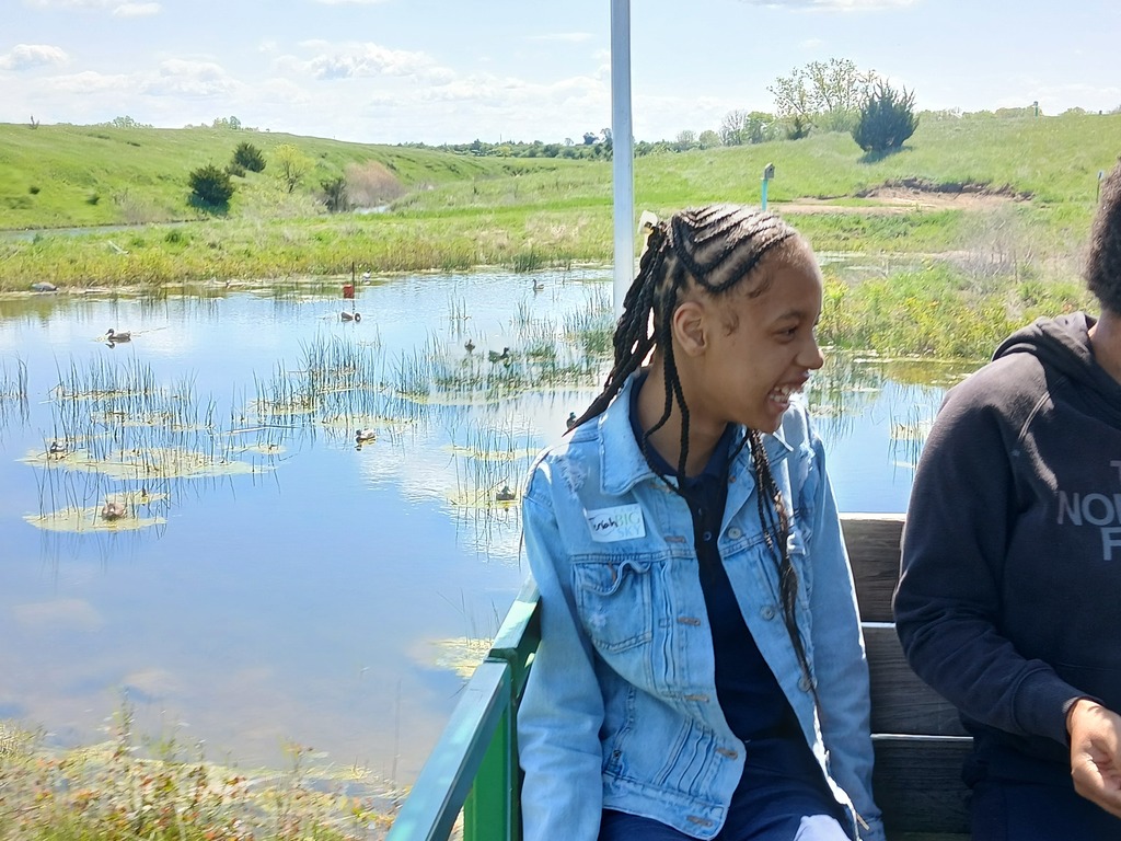 wetlands