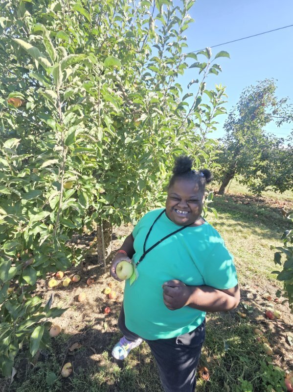 apple picking