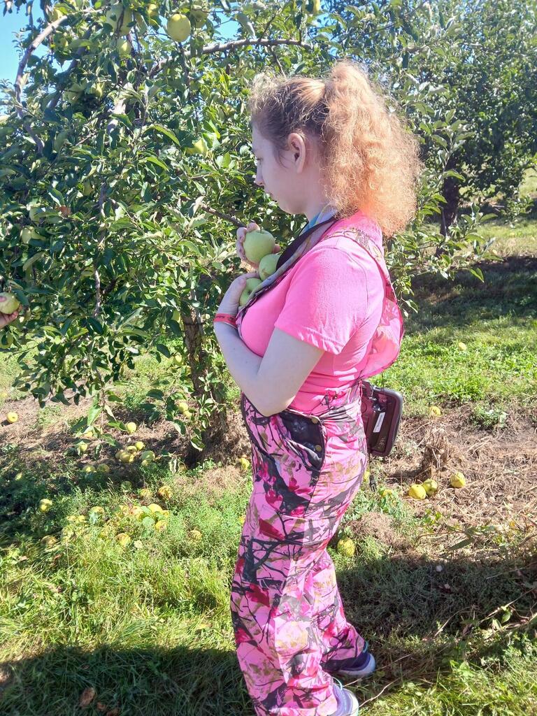 apple picking