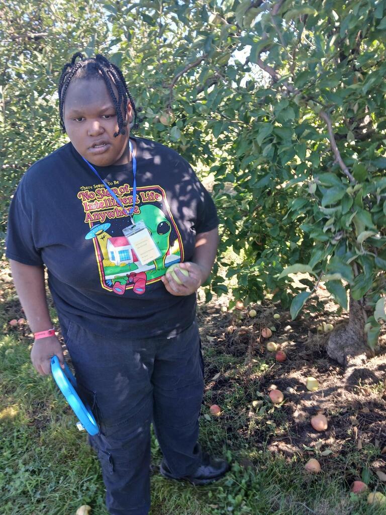 apple orchard