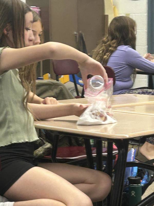 Students use salt to preserve their mummy