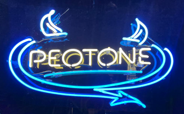 Best Buddies Bingo 2026