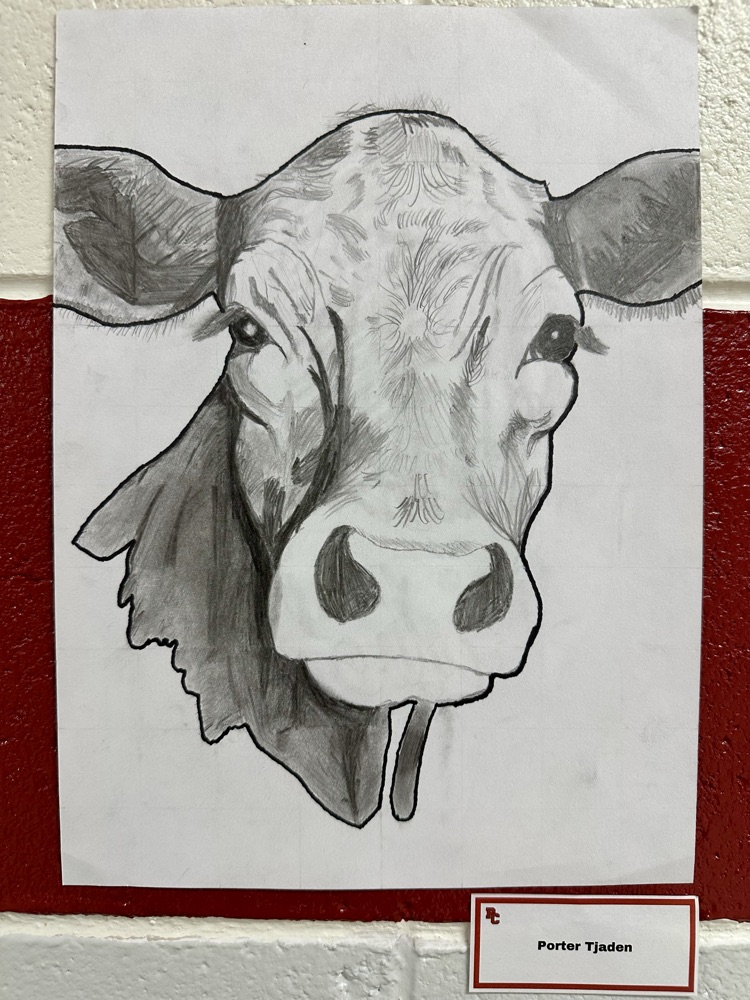 Art 1:  Elements of Art Drawing ✏️ #SupportTheArts