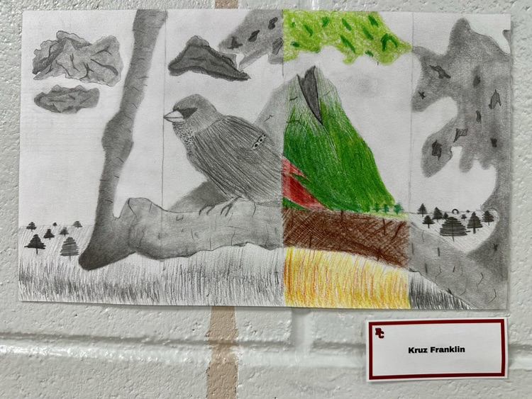 Art 1:  Elements of Art Drawing ✏️ #SupportTheArts