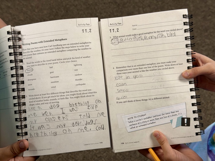 3rd Grade ELA: Poetry. Metaphors. Alliteration. ✏️ @Amplify #CKLA