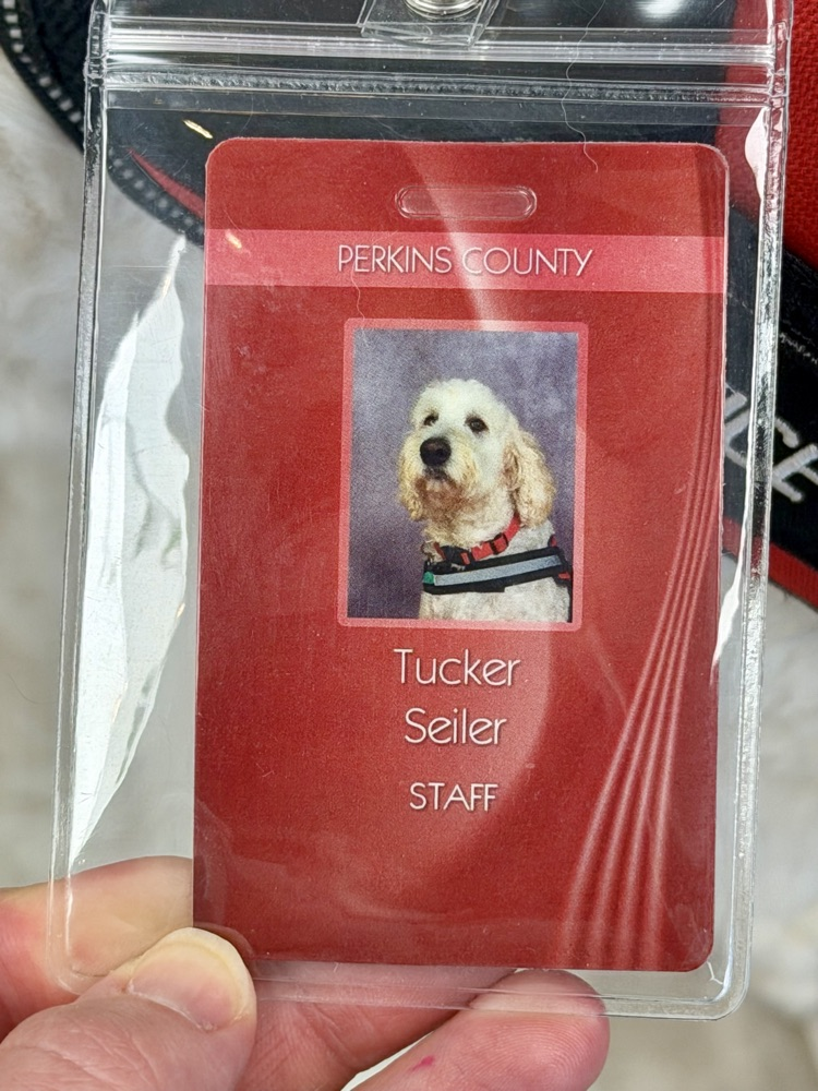 Tucker Seiler 🐾 PCS Staff
