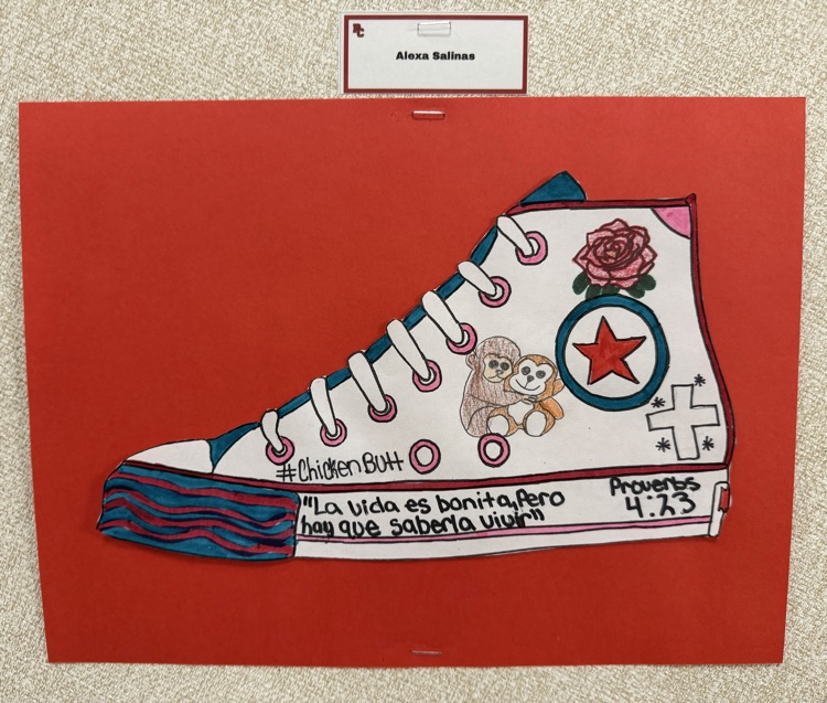 shoe