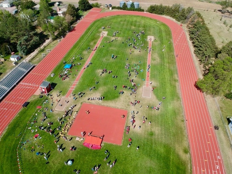 field day