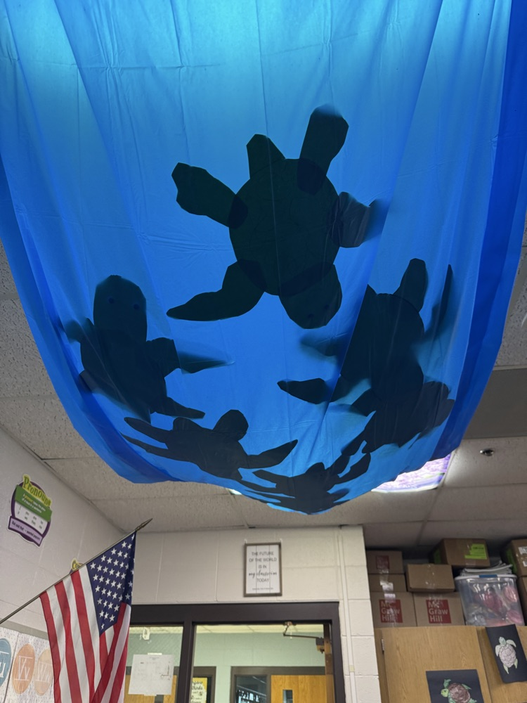Summer School - Week 1