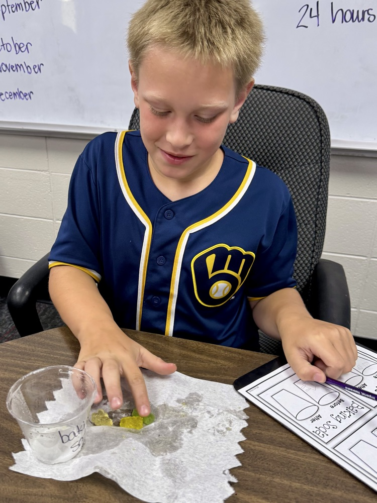 Summer School - Week 1: • Getting-To-Know-You Activities • Unit: Oceans & Turtles #plainsmenpride