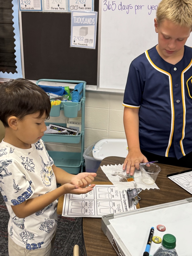 Summer School - Week 1: • Getting-To-Know-You Activities • Unit: Oceans & Turtles #plainsmenpride