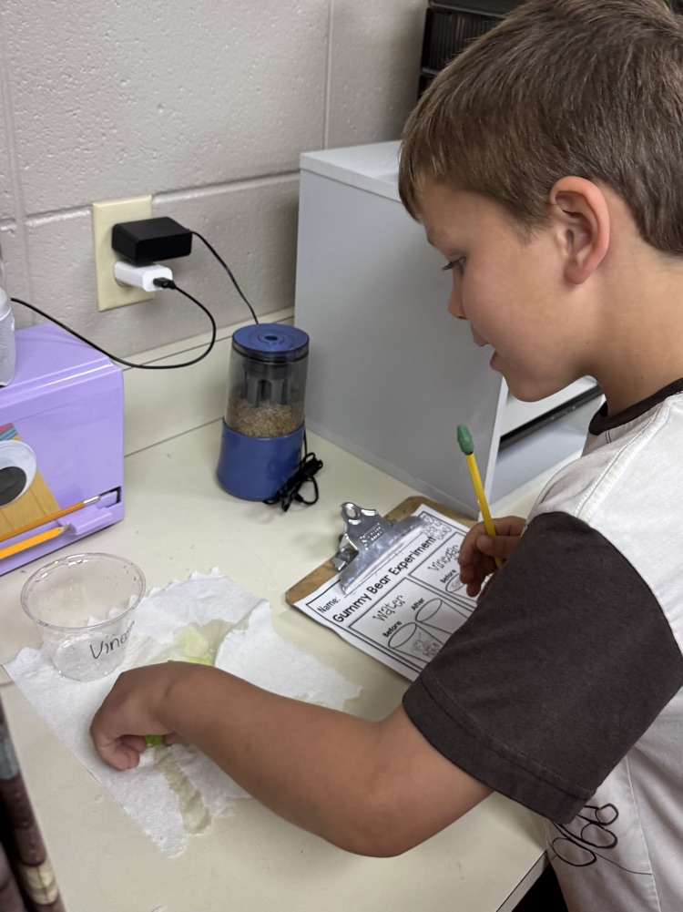 Summer School - Week 1: • Getting-To-Know-You Activities • Unit: Oceans & Turtles #plainsmenpride