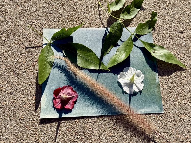photography class