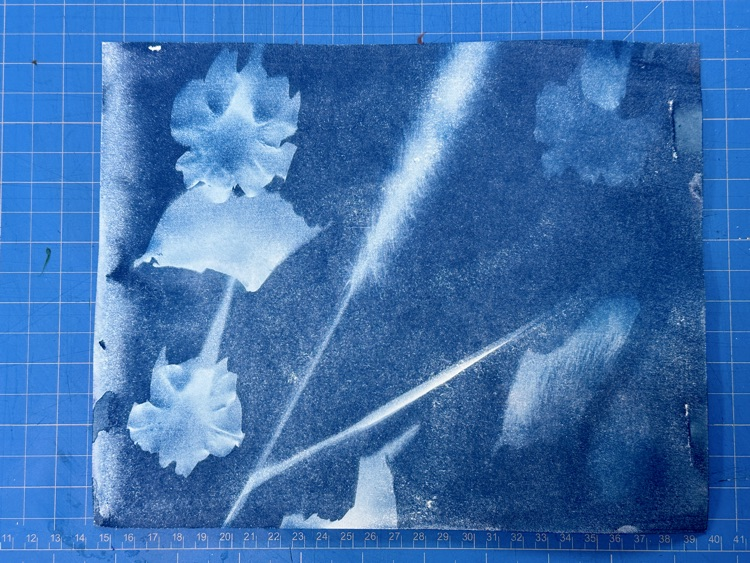 photography class