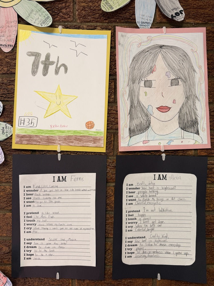 6th Grade “All About Me” Analysis