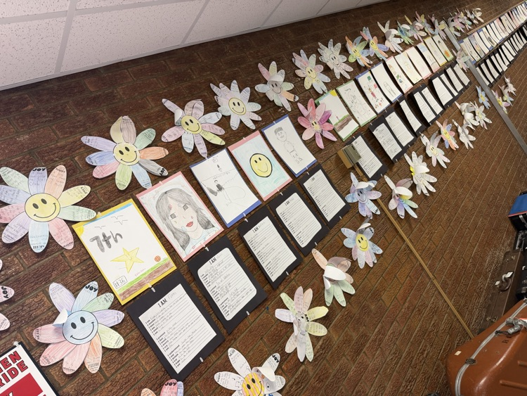 6th Grade “All About Me” Analysis