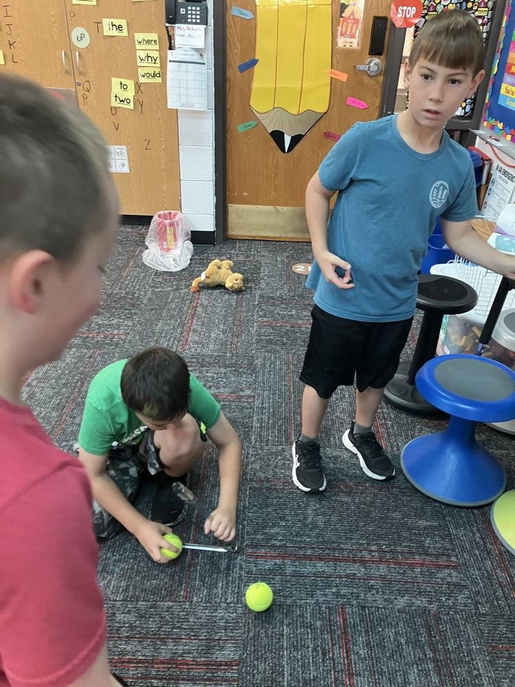 Acting out Cat Bandit our first ckla unit