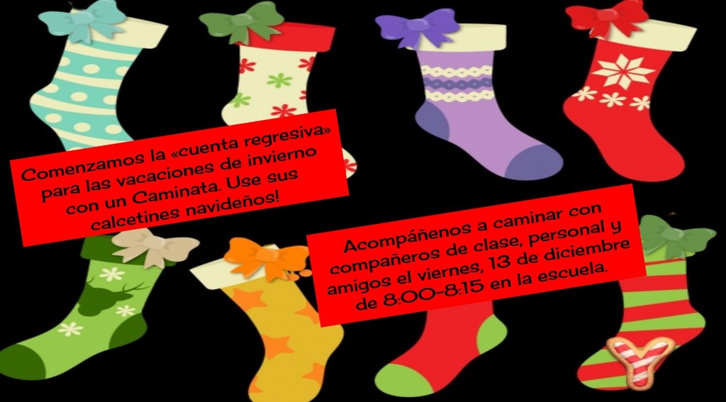 Holiday Socks