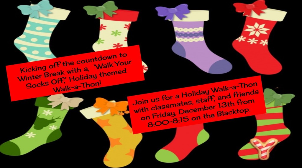 Holiday Socks