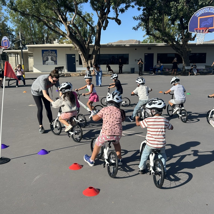 all kids bike